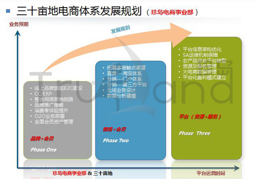三十畝地電商體系發展規劃