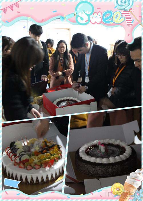 甜蜜蛋糕海馬體寄存 甜蜜蛋糕海馬體寄存