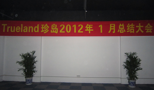 珍島2012年1月總結大會